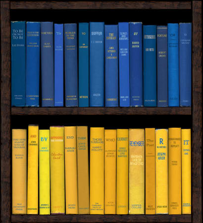 Ukraine Blue and Yellow Bookshelf print by artist Phil Shaw represented by Rebecca Hossack Gallery
