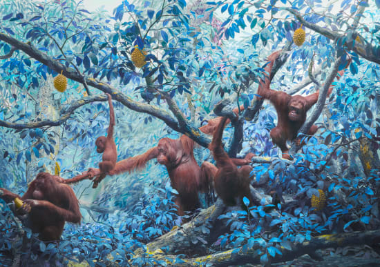 Jim Naughten, Orangutans signed by Jane Goodall & Jim Naughten, 2023