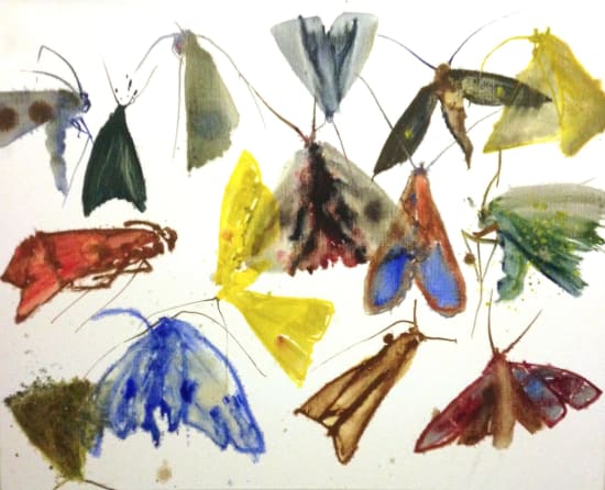 Allyson Reynolds, Untitled VI (Moths), 2011