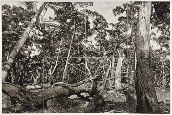 David Frazer, The Tangled Wood (Composition I), 2018
