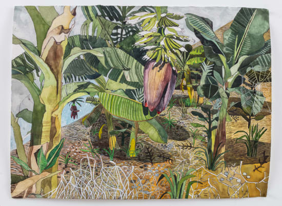Sophie Charalambous, Banana Grove, 2020