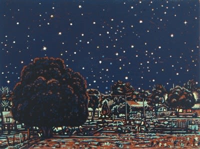 David Frazer, On the Edge of Town (By Night) (unframed), 2006