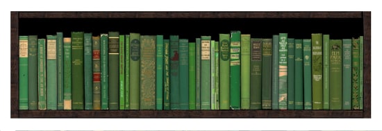 Green Bookshelf print by artist Phil Shaw represented by Rebecca Hossack Gallery
