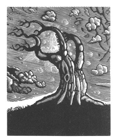 Wood engraving by the Australian printmaker and artist David Frazer, Clouds, Sky and Tree engraving