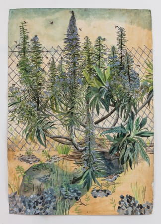 Sophie Charalambous, Echiums with Metal Fence , 2021