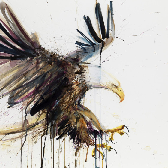 Eagle, 2010