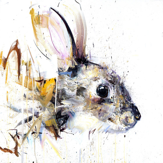 Rabbit I, 2014