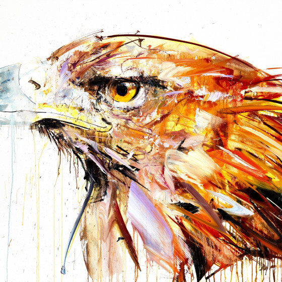 Golden Eagle, 2014