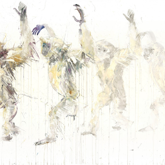 Gibbon Movement, 2015