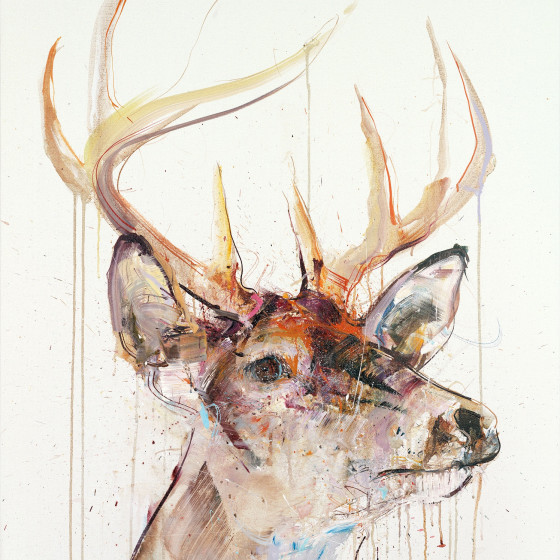 STAG IV, 2015