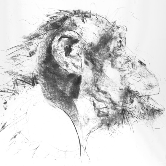 Chimp VI, 2017