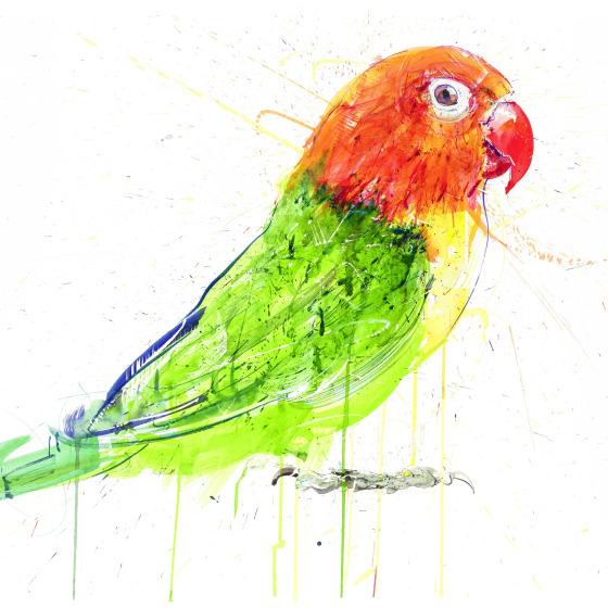 Love Bird, 2017