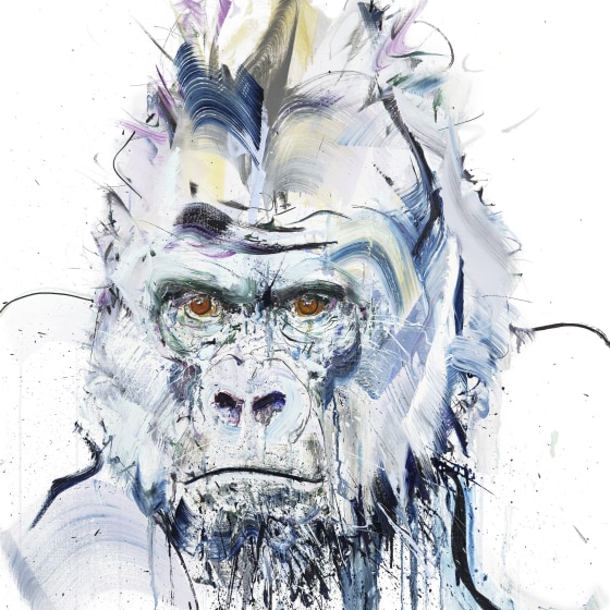 Silverback III