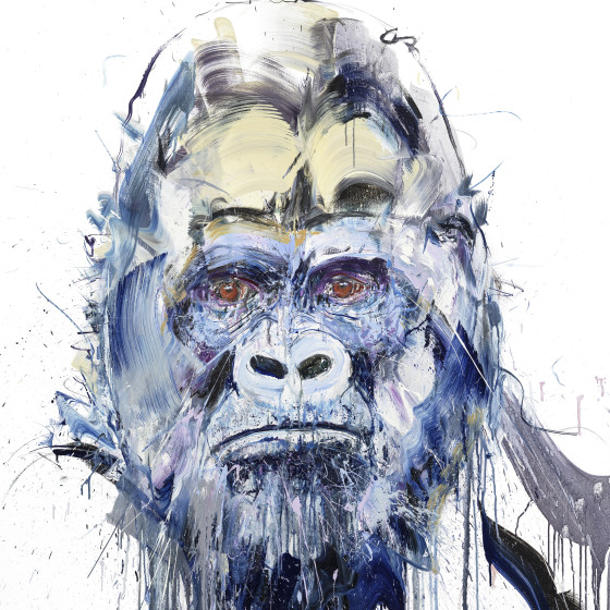 Silverback V