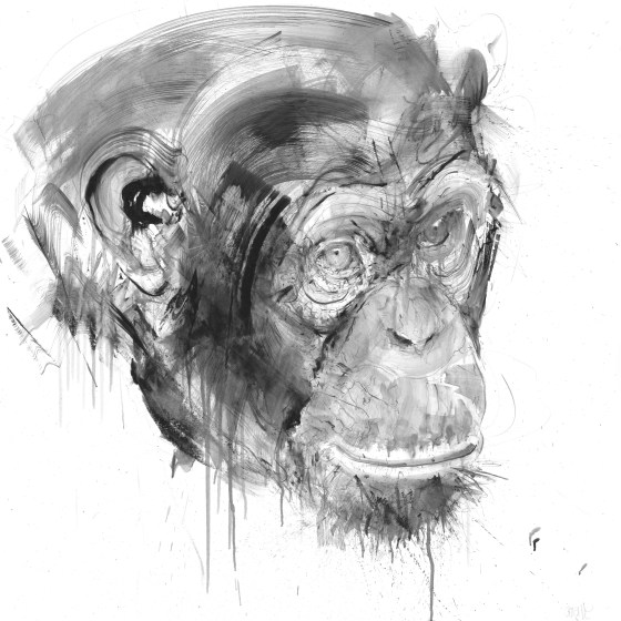 Chimp I