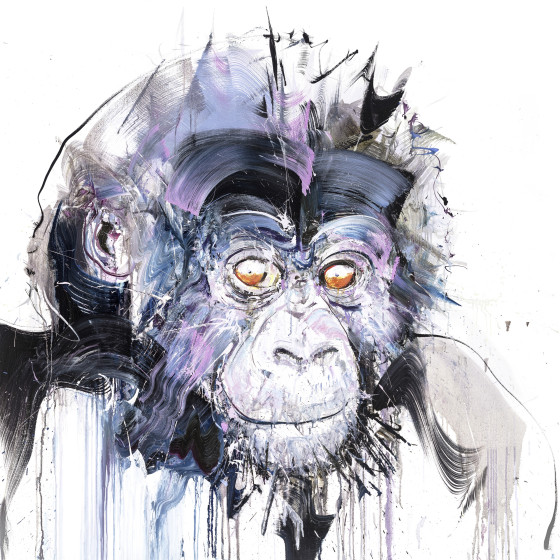 Baby Gorilla I, 2018