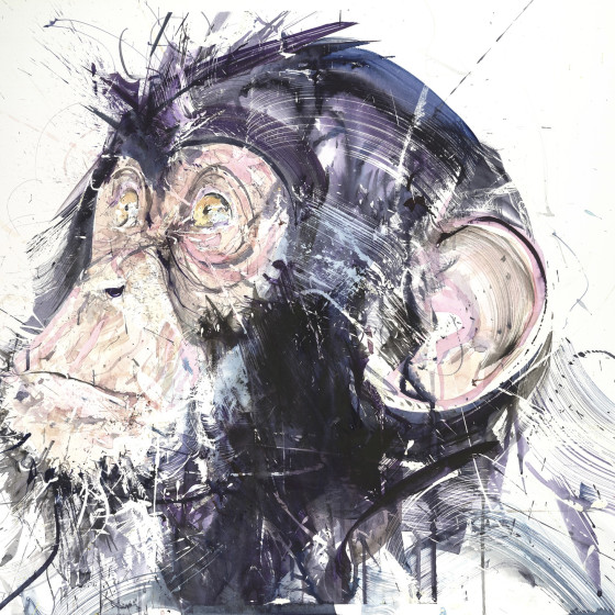 Chimp III, 2017