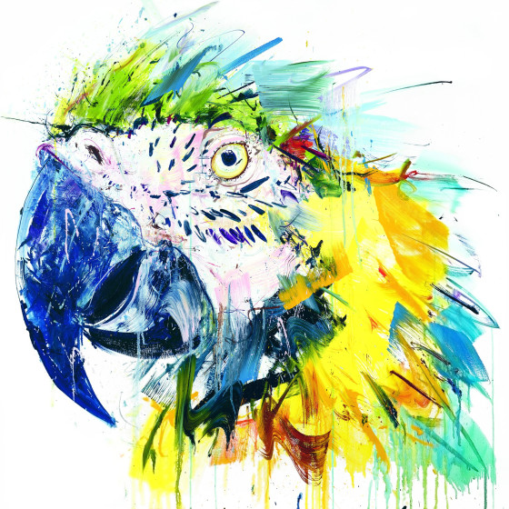 Parrot I, 2017