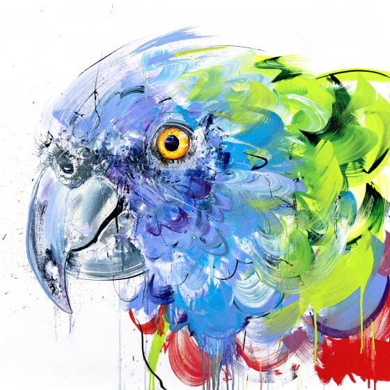 St Lucia Amazon Parrot