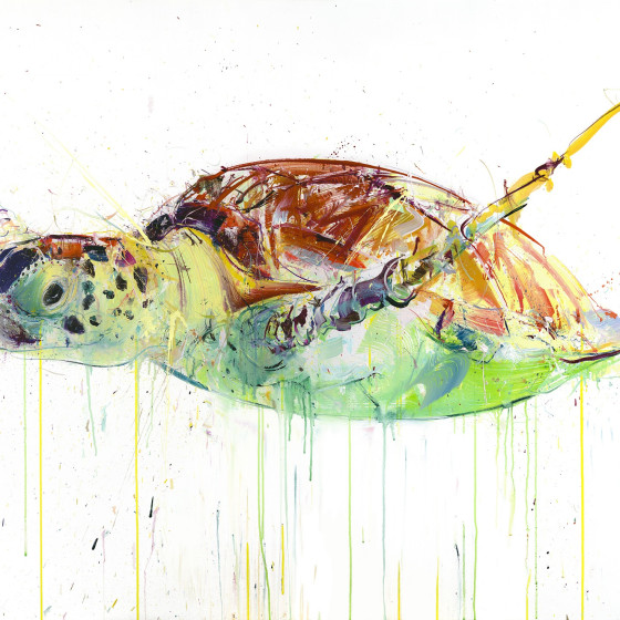 Sea Turtle I, 2017