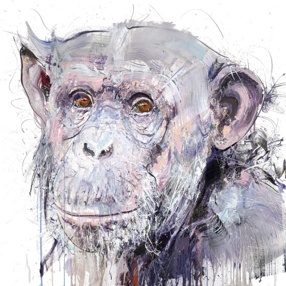 Old Chimp II