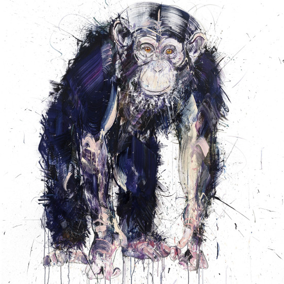 Chimp III