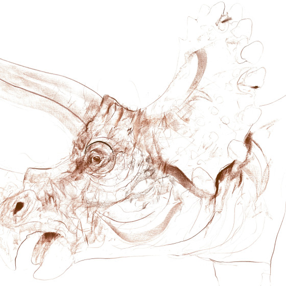 Triceratops VI