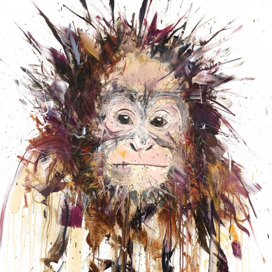 Orangutan , 2016