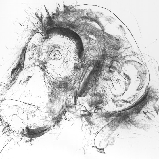 Chimp III (Left Facing), 2017