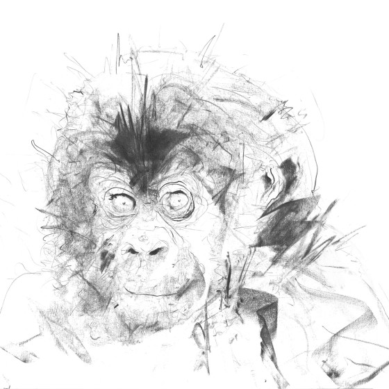 Baby Gorilla II, 2017