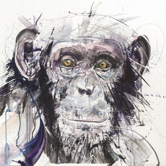 Chimp I, 2017