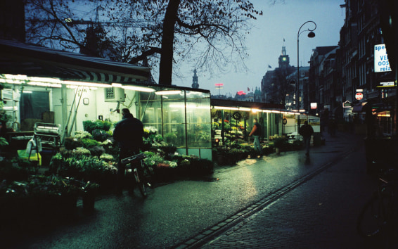 Flower Market, Amsterdam, Fall 1996