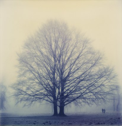 Winter Tree, Englischer Garten, Munich, 1980s