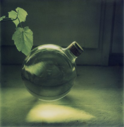 Still life with leaves and green glass ball, ca.1985