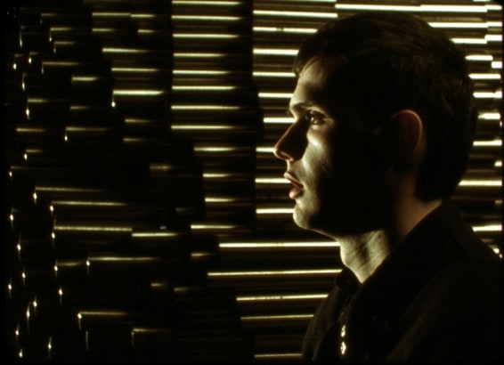 Images With Their Own Shadow, 2008