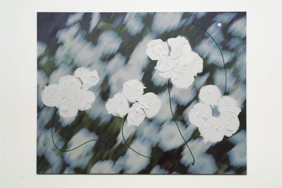 Flowers 3 - green peduncles, 2009