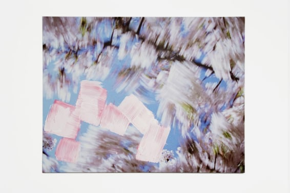 Blossom - brushes, 2009
