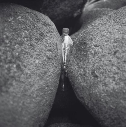 Jean-Luc Moulène, Régulier, Barnville, 24 Janvier, 2009