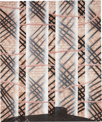 Caragh Thuring, Deep Screw, 2018