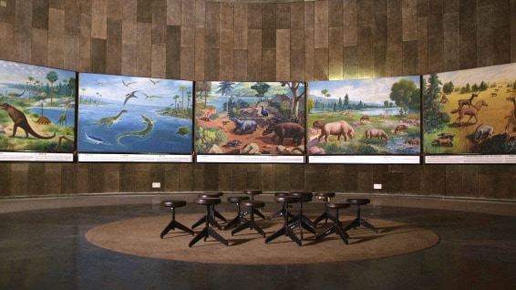 Amie Siegel, Circuit, 2013