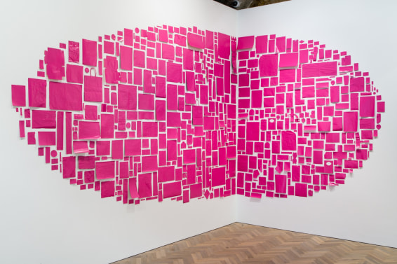 Abraham Cruzvillegas, Erikaviolett, 2015