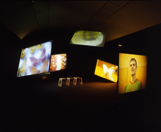 Kutlug Ataman, Stefan's Room, 2004