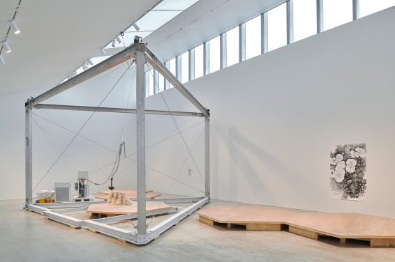 Anya Gallaccio, Beautiful Minds... (dene hole), 2015–2024