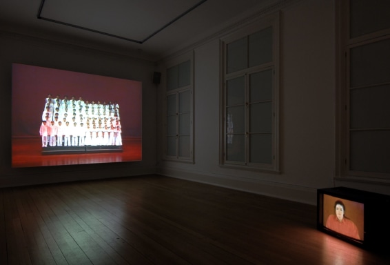 Paul Pfeiffer, Live from Neverland, 2007