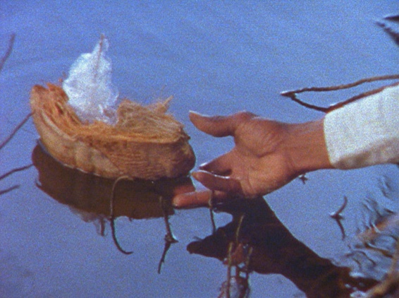 Steve McQueen, Caribs' Leap/ Western Deep, 2002