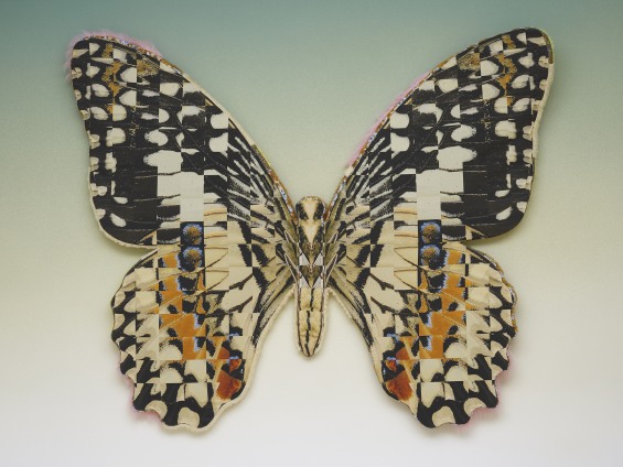 Anthea Hamilton, Transposed Lime Butterfly, 2019