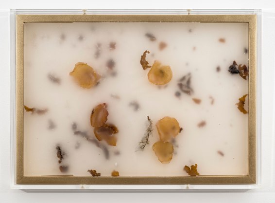 Marisa Merz, Untitled, 2013