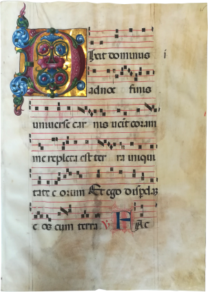 Northern Italian Illuminator, Initial 'D'