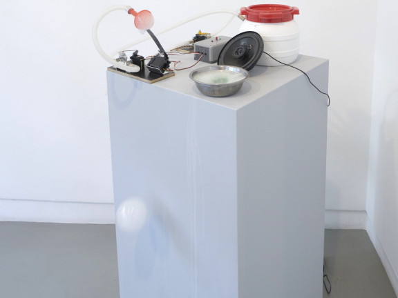 The Poet, 2016