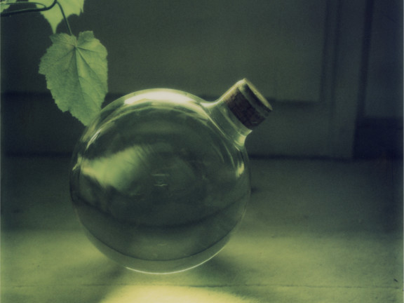 Still life with leaves and green glass ball, ca.1985